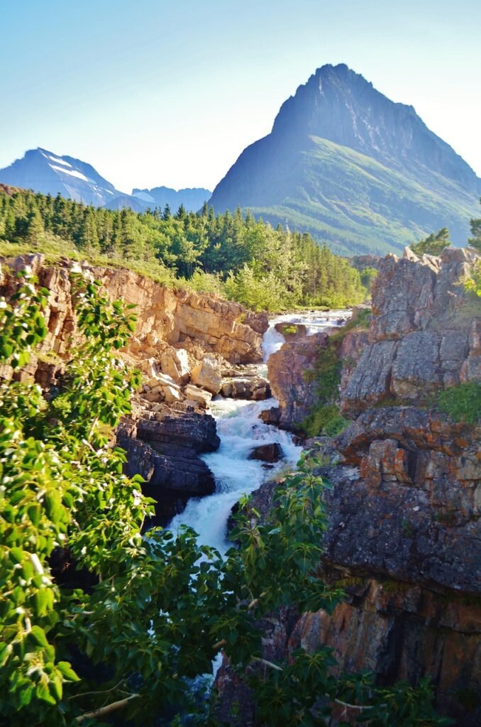 tree, stream, landscape, nature, sky, montana, usa, tourism, hiking, mountain, water, colorful, glacier np, montana, montana, montana, montana, montana